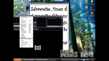 Winamp Skins