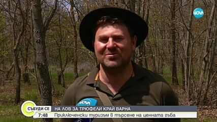 Все повече хора у нас проявяват интерес към събирането на трюфели