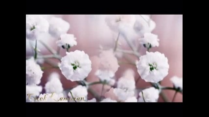 Engelbert Humperdinck - How I Love You
