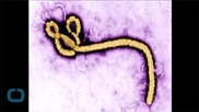 Liberia Cautiously Marks End of Ebola After 4,700 Deaths