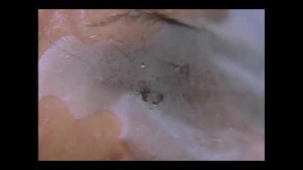 Memento 2000 - movie trailer