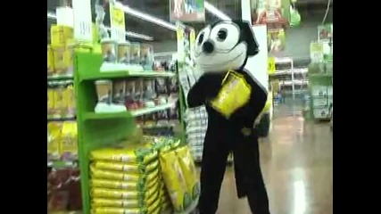 Remi Gaillard - Котката