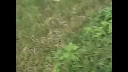 Ужасна катастрофа с мотор
