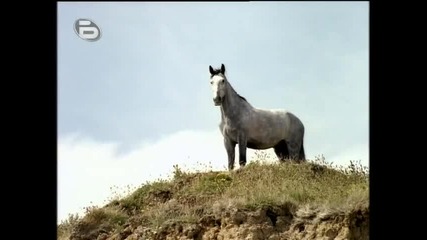 Пътешествията на Гъливър (1996) Bgaudio 2-2