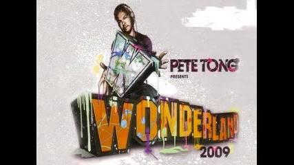 Pete Tong - Wonderland - 2009 Cd2