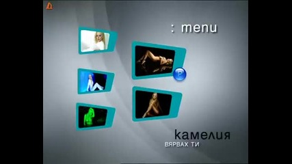 Камелия - Вярвах Ти