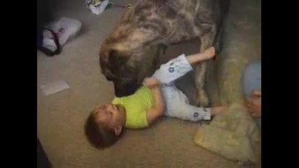 Голямо куче играе с дете
