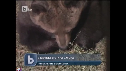 3 мечета се родиха в зоопарка на Стара Загора