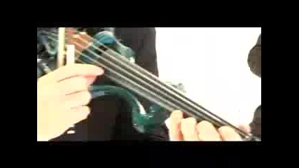 Stringfever - History Of Music