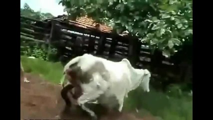 Вземи тоя Headshot
