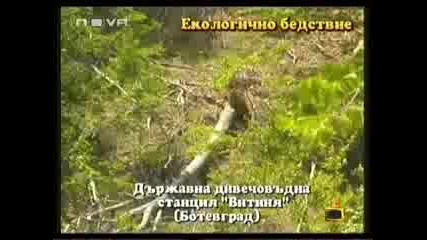 Господари На Ефира - 16.07.2008(hq)