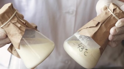 Подквасване на мляко с пробиотик (част 1)