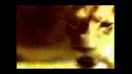 Животът На Бозайниците(филм 1, Серия 2) - Растителноядни хищници
