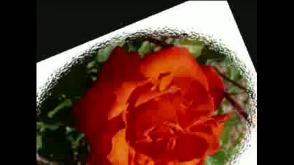 Elvis Presley - Young And Beautiful