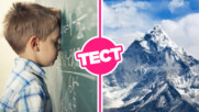 ТЕСТ: Ще се справиш ли с тези въпроси за 5 клас?