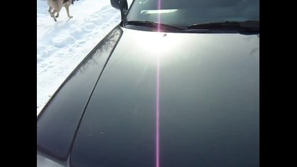 Sam_1212