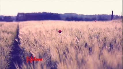 System Beats - Word (original Mix)