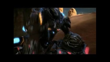 Section 8 - trailer 