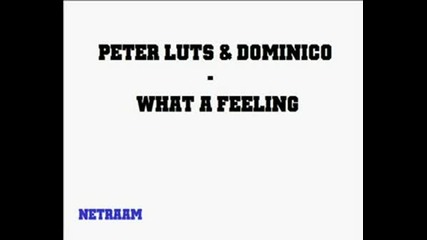 Peter Luts - Dominico What A Feeling