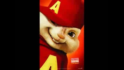 chipmungs 