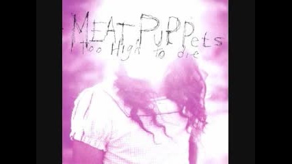 Meat Puppets - Evil love 