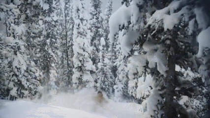 Зимна песен