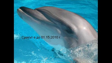 Организирам конкурс 