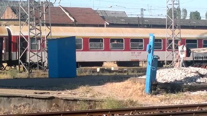 46229