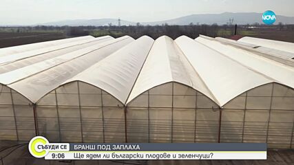 Видео - (2023-11-26 10:13:16)