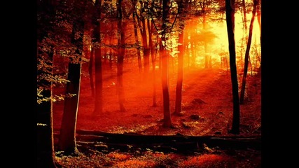 * Dubstep * Mitis - Wake Up