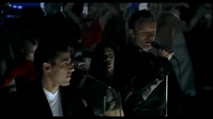 Sting - Desert Rose