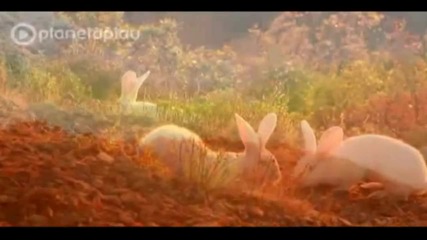 Магда - Улица на самота и грях