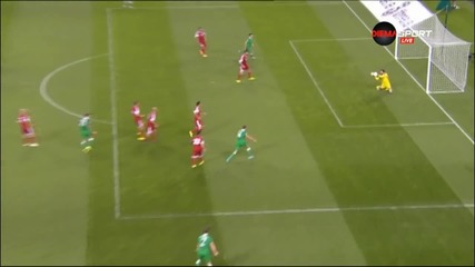 Ирландия - Грузия 1:0