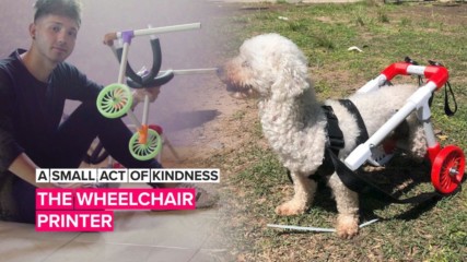 A Small Act of Kindness: This man made doggie wheelchairs his mission