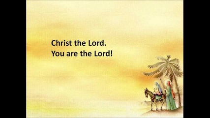 O Come All Ye Faithful by Chris Tomlin.wmv