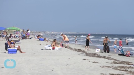 Man Bitten By Shark on NC Outer Banks is 7th This Summer