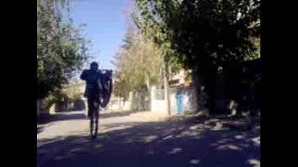 stunt