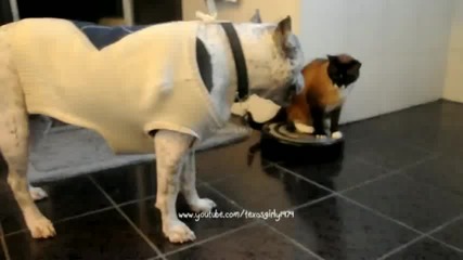 Move Bitch ! Get Out The Way