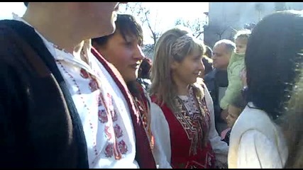 surva 2010 