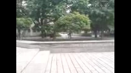 Gufy*bmx