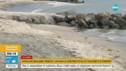 Има ли замърсяване по плажната ивица в Поморие и какви мерки са предприели властите