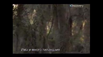 Оцеляване на предела - Дълбокият Юг (цял епизод) - Бг субтитри 