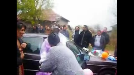 Erol 4