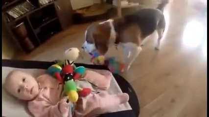 Куче носи играчки на бебе , за де не плаче ..