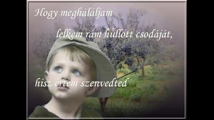Ha nagy leszek, anyam 