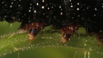 Masuren- Das Wunder der Natur [doku-german] (1080p)