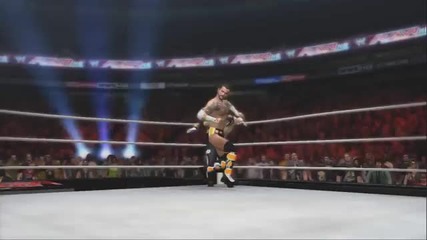 Wwe 12 Cm Punk Finisher