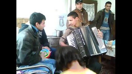 koi4o muzikanta 