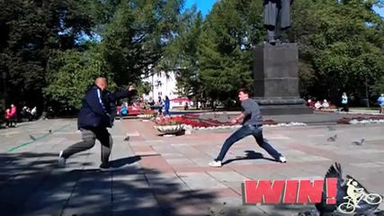 Бой с гълъби