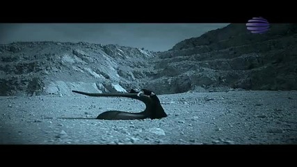 Емилия и и - Ти си луд